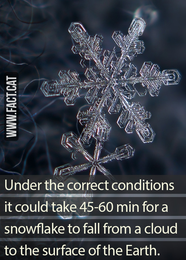 How long does it take for a snowflake to fall to the ground?